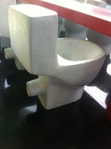 the toilet