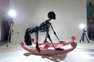 'The Toy' - in spotlight