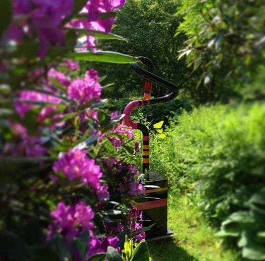 black swan at hannah pescher