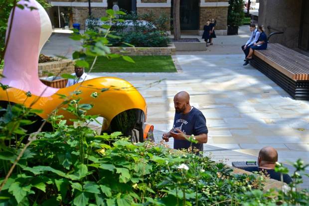 woman in red hat in dev